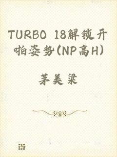 TURBO 18解锁开啪姿势(NP高H)